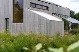 best wood for siding