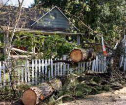 Urban Lumber Recovery