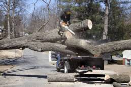 Urban Lumber Recovery